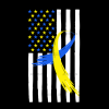 American Flag Down Syndrome-3 DTF Transfer