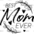 Adult (12" Wide)