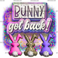 Bunny Got Back DTF Transfer