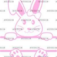 Easter Bunny Name Frame Pink-5 DTF Transfer