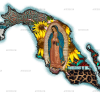 Our Lady Of Guadalupe Mexico Map Dtf Transfer