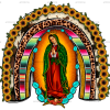 Our Lady Of Guadalupe Rainbow Dtf Transfer
