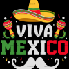 Viva Mexico-2 DTF Transfer