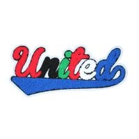 United Multicolor Patch (Large/Chenille)