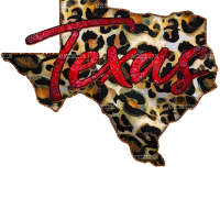 Texas Leopard Map DTF Transfer