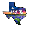 Texas Sunset Blue Bonnets DTF Transfer