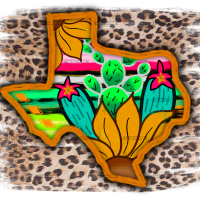 Texas Aesthetic DTF Transfer
