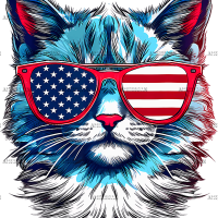 American Cat DTF Transfer