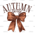 Adult (12" Wide)